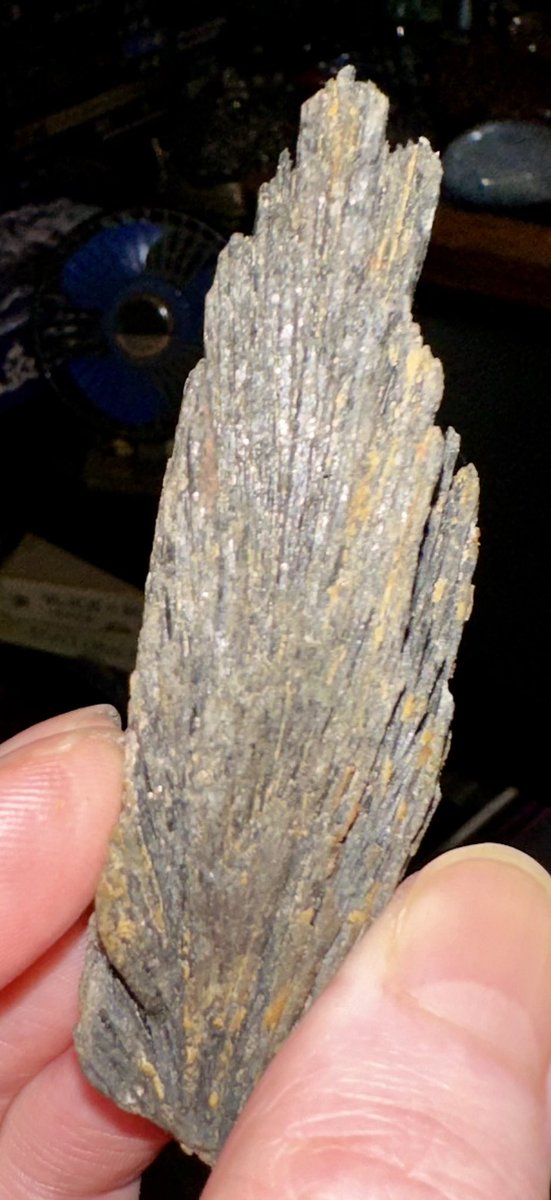 MoonChild_W333's tweet photo. #CrystalShowAndTell #BlackKyanite an aluminum-rich silicate mineral that forms in pegmatites at extremely high pressure. It crystallizes in the form of โfan-likeโ blades that can reach nearly half a foot in length! @aaronmread @Cosmic_Mystery0 very cool this has red Muscovite to. https://t.co/qfCY7xUv36