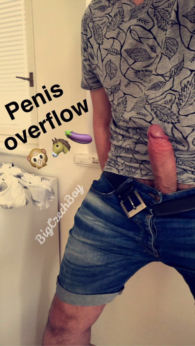 BigCzechBoy (11K) tweet media