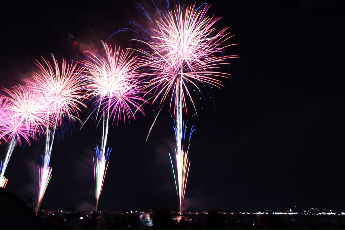 先日、芦田川花火大会に行きました🎆
初の花火の本格撮影にしては中々の撮れ高だったかな？😄