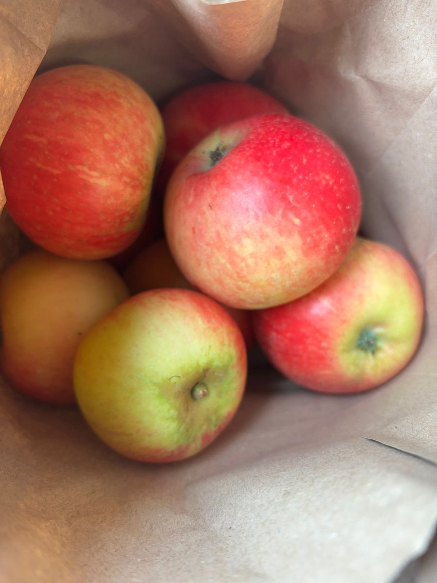 Country Crest FS tweet media