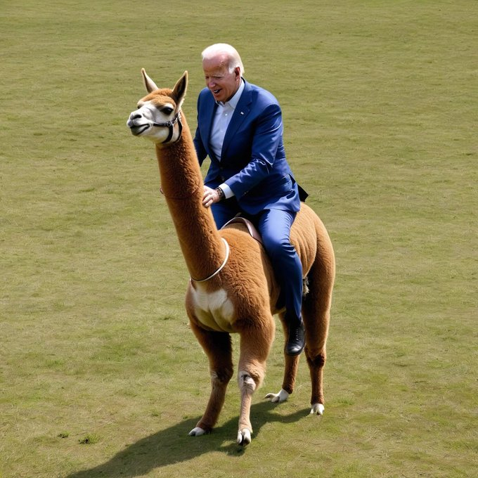 dr_ahmetbalta's tweet photo. Joe Biden, who visited the zoo, fell while trying to ride a llama and was taken to the hospital. No information can be obtained about his health condition.
#NatureCascade #pets #makeup #workout #fashion #foodporn #wanderlust #photooftheday https://t.co/aB0zlpcR9A