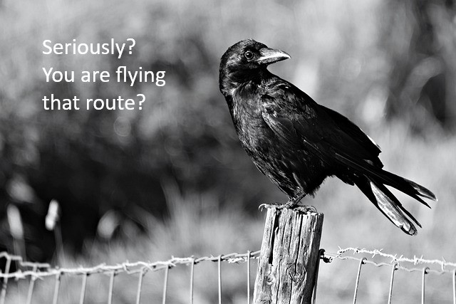 mkscribe's tweet photo. Still wishing for a Stargate ... My latest substack post in which I bemoan the complications of travel itineraries. #travel #TravelEssentials #crows 
 https://t.co/SBwYlQAmOU https://t.co/cLh3nl7YMi