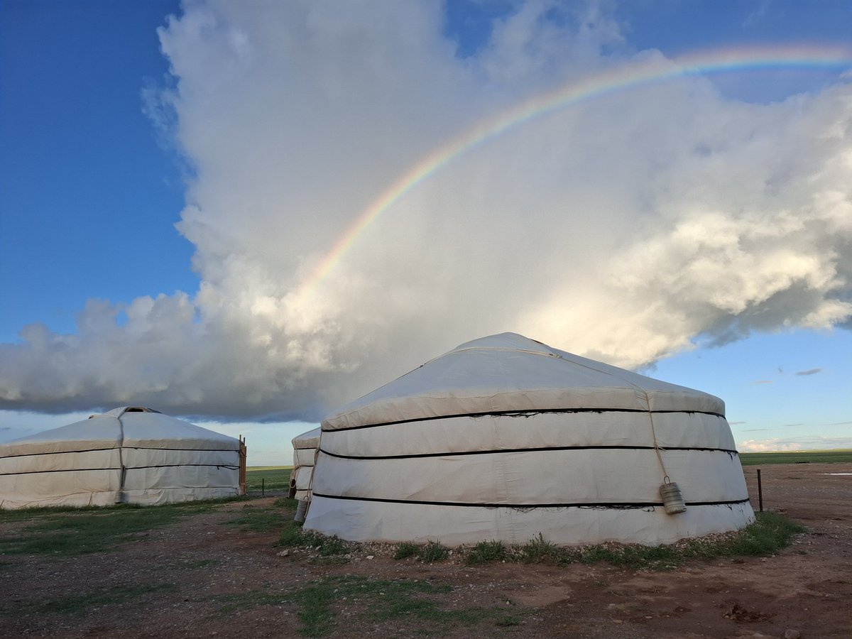Шөнийн мэнд! Бороо хур нь элбэг, таана хөмүүлийн үнэр нь хамар цоргиод говьд янзтай сайхан зун болж байгаа юм байна. ❤️❤️❤️