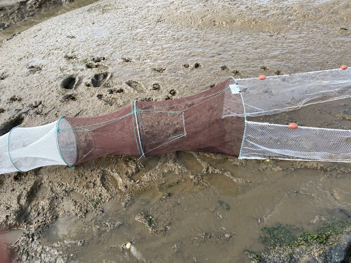 Robin Bradley tweet media