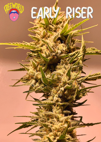 freeworldgenetics tweet media