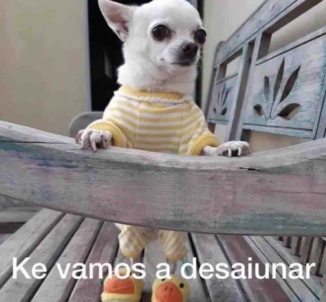 Yo levantándome a las 2 de la tarde.