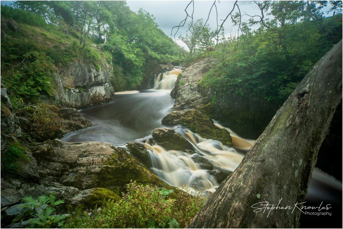 Harling House tweet media