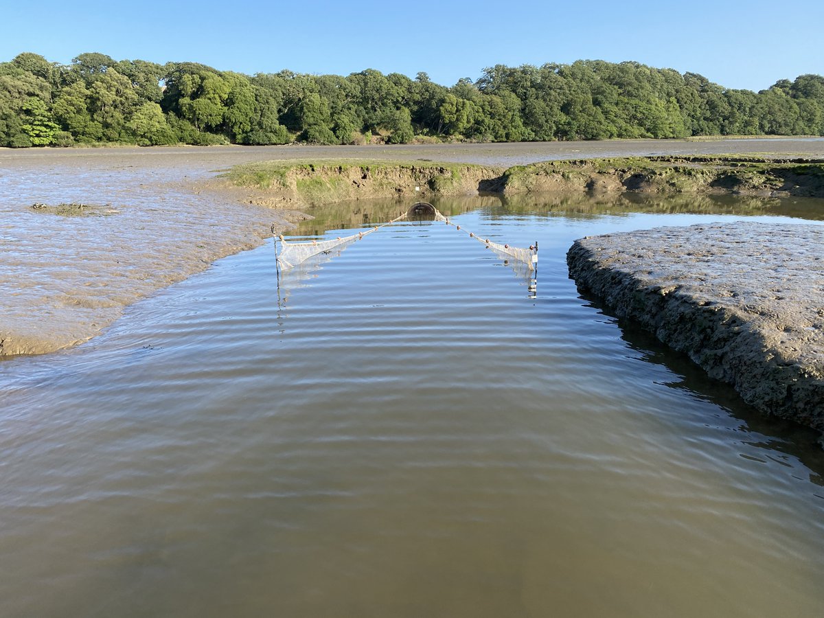 Robin Bradley tweet media