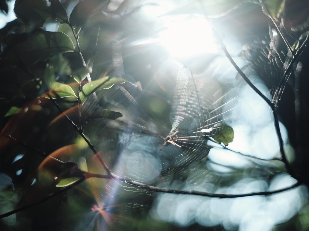 虹色の家

#gfx #gfx50r #fujifilm