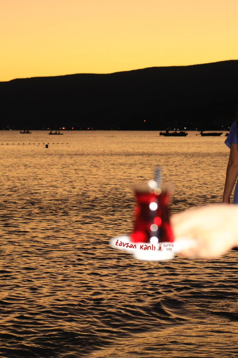 fotoğrafçı ve fotoğrafları🙂‍↔️