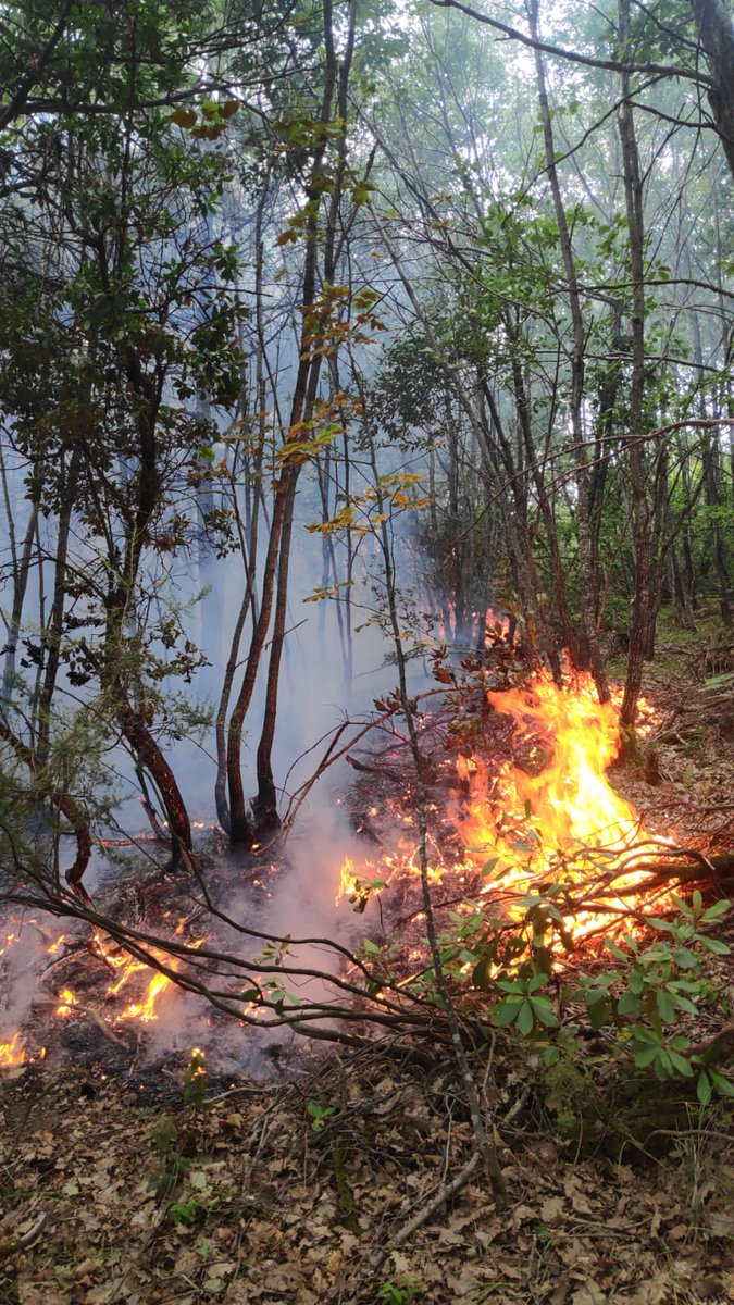 Itvaiyeci (@itvaiyeci) on Twitter photo 