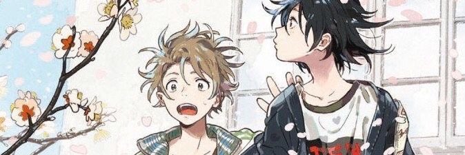 ໑ alba ! tweet media