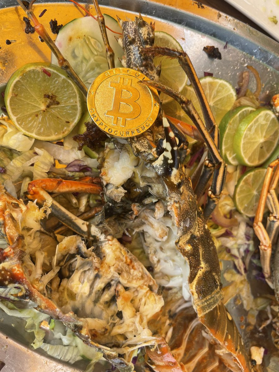 JonnyDecember's tweet photo. Wish you were both here to join us on another #Mahimahi #tuna #lobster day out past the #mesoamericanreef @CptnSwankyPants 
Even lobsters love $BTC can you find the #Bitcoin #btc?  #Sanpedro #ambergriscaye #pianocrew #basementdwellers #BTCmorningTA #BlockchainBasement #based #crypto #islandlife #tropicalliving #belize #centralamerica