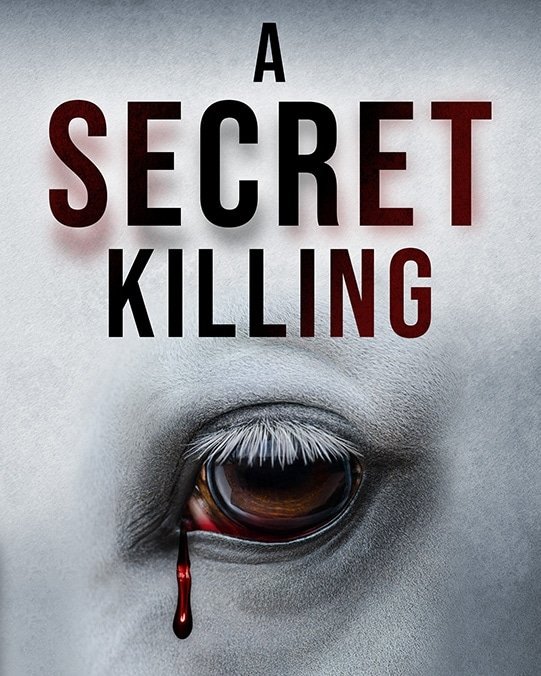 Paul Toolan tweet media