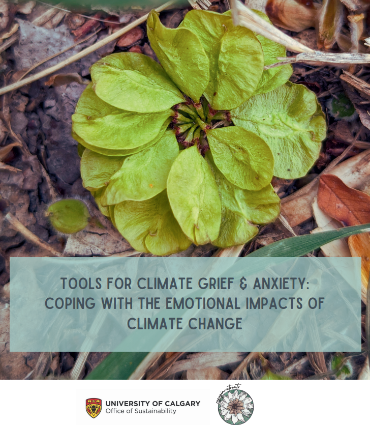 sacetalks's tweet image. #CommunityResource: Tools for climate grief &amp;amp; anxiety: Coping with the emotional impacts of climate change. Learn more at ow.ly/Kx7E50SY1EX.