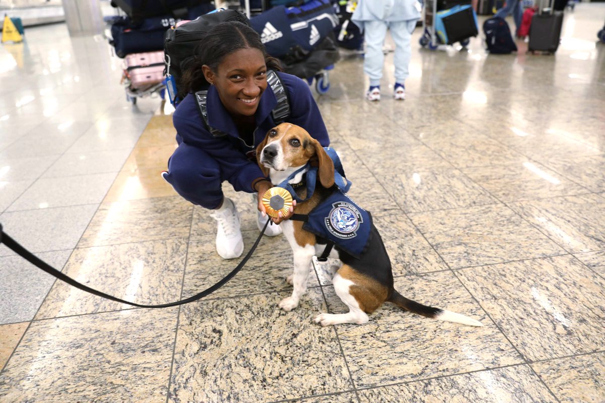 Executive Asst. Commissioner Diane J. Sabatino tweet media