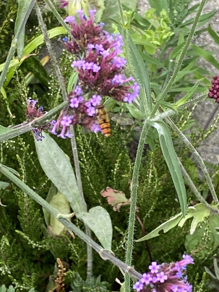 Mark George tweet media