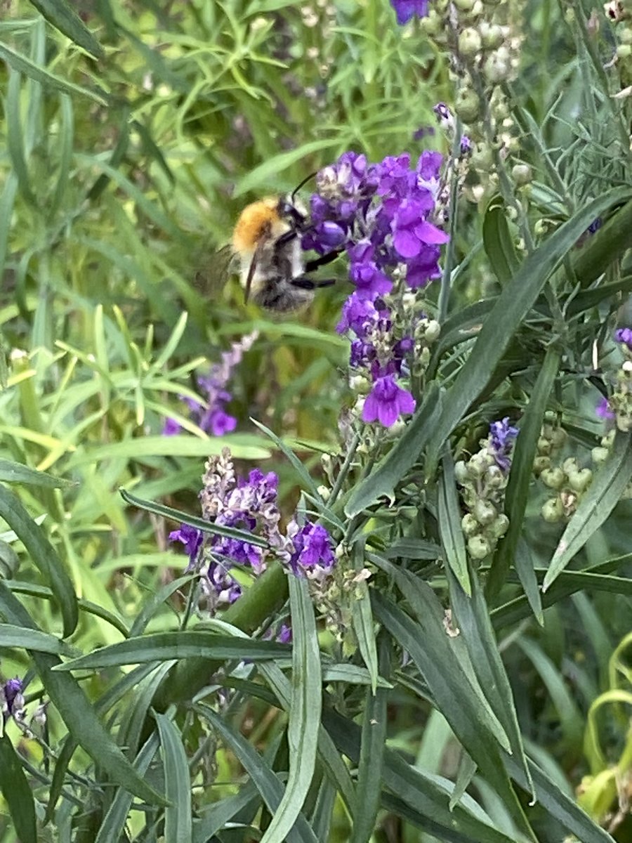 Mark George tweet media