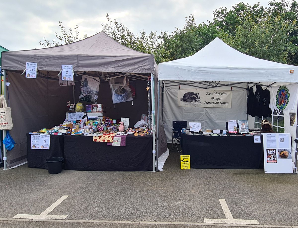 Wildlife weekend at RSPB Bempton with <a href="/HullWildlife/">HullWildLifeProtectors</a> <a href="/EYBPG/">EYBPG</a> and The Wildlife Alliance, see you on Sunday.