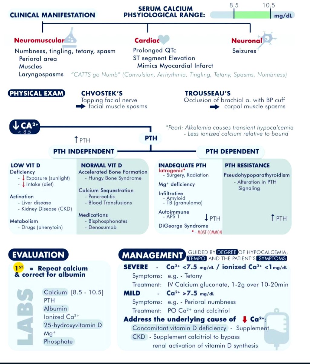 DrPharmDMDTh's tweet photo. HYPOCALCEMIA https://t.co/y3K4Hmk2UB