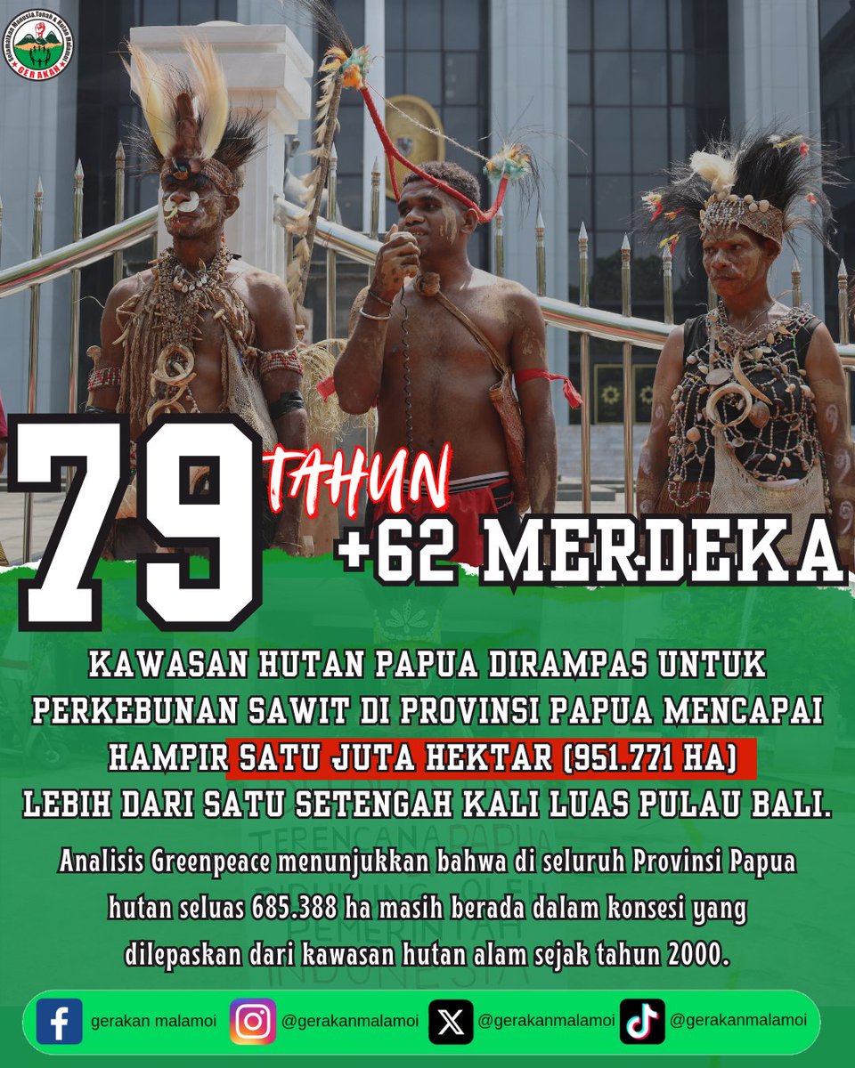 gerakanmalamoi's tweet photo. Tanah dan Hutan adat kami di rampas, atas nama pertumbuhan ekonomi dan pembangunan infrastruktur, yang menguntungkan kelompok Oligarki.
Tidak menyangka 79 tahun +62 merdeka dengan ambisi membangun dan merawat tentakel kapitalisme dalam struktur pemerintah.
#papuabukantanahkosong https://t.co/rDOkmGSjrg