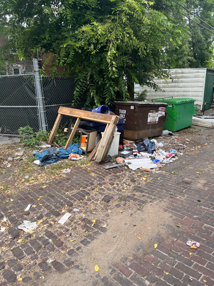 lexcarlson's tweet photo. @stlcsb conditions behind 3217 Cherokee, vacant building https://t.co/OEyjnAv03e