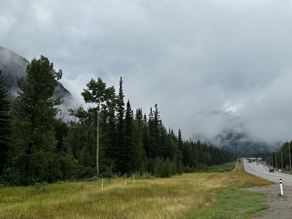 Parks Canada announcing that after 27 days, the wildfire complex in Jasper National Park is now being held. 

Lots of rain yesterday and it’s misty by the east gate today.