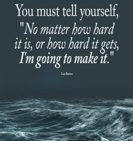 tiger-tom73 (@tom73tiger) on Twitter photo 