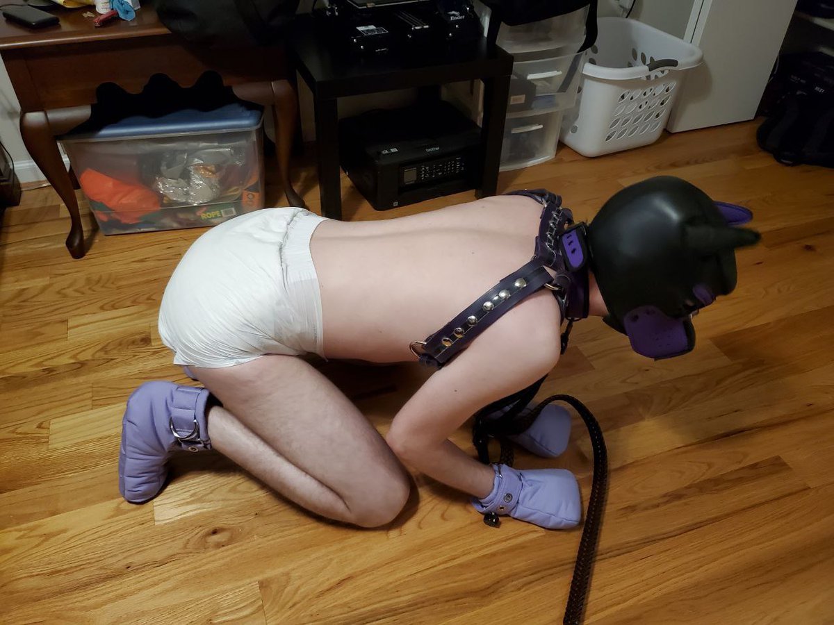 PupDork's tweet photo. Photos taken a little while back when the boyfriend was finally able to visit https://t.co/tb32s8TkYD