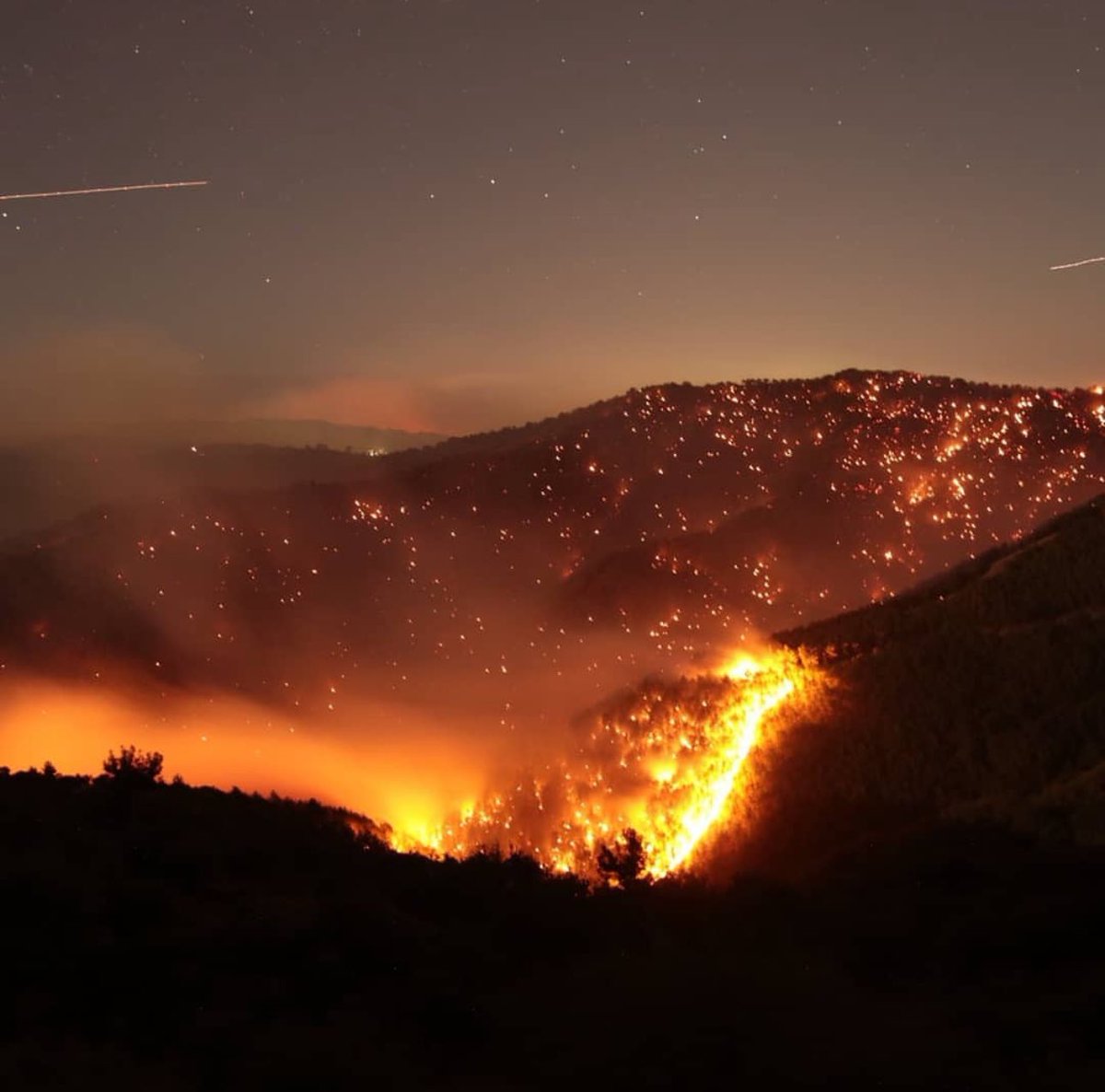 CİĞERLERİMİZ YANIYOR!
Yaşanan orman yangınları felaketi nedeniyle derin bir üzüntü içerisindeyiz. Acınızı ve kayıplarınızı paylaşıyor, hepinize geçmiş olsun dileklerimi iletiyorum. Umuyoruz ki, en kısa sürede doğamız yeniden canlanacak ve yaralarımız sarılacaktır. 
#izmiryanıyor