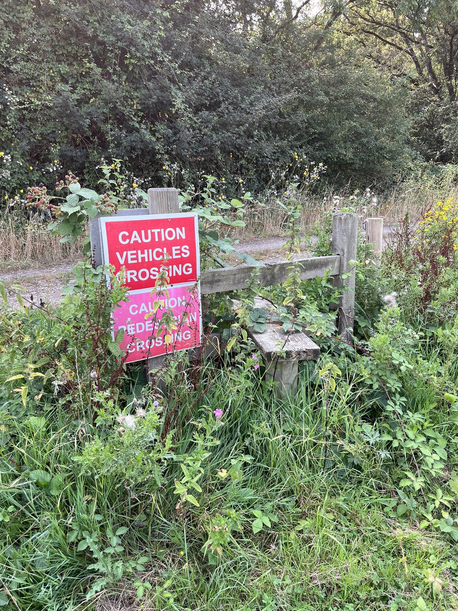 clairenfish's tweet image. Afternoon stroll from Enfield Lock to Chigwell on the London Loop. A beautiful section of the walk - particularly the first part along the canal. Dragonflies in all abundance. Epping Forest, redundant stiles. Less than 30 miles left #londonloop #keeponwalking
