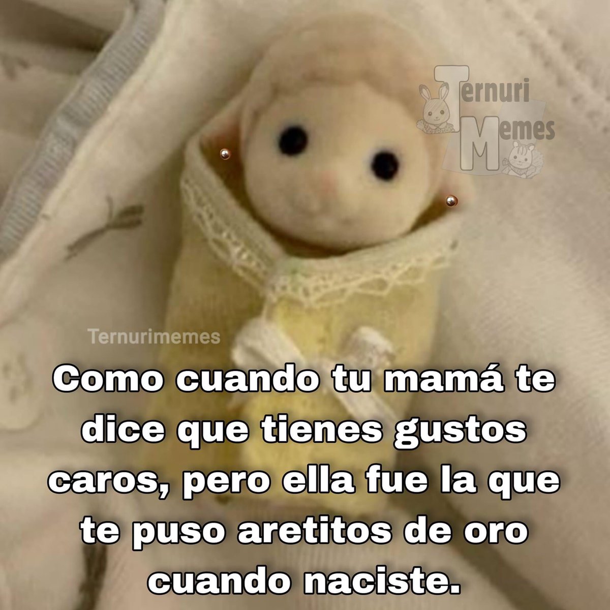 nacional_memes's tweet photo. Si es 💅🐶 https://t.co/vVOhUkCyiP