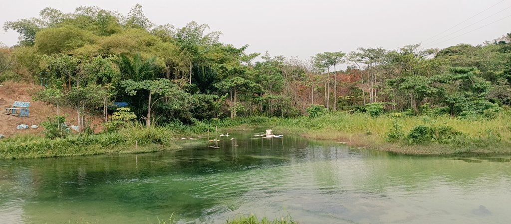 Maxewell's tweet photo. Eau Claire de #Leconi #G2 #Gabon #Tourisme #VisitezNous #PlateauxBateke #IndependanceDay2024 #An64 https://t.co/Zx7ahvQEfj