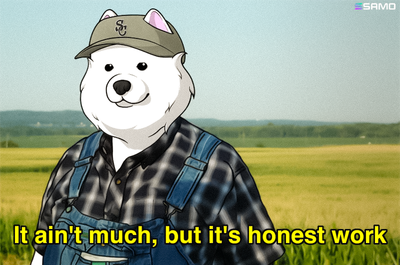 samoyedcoin's tweet photo. me trying to explain to ppl we're building up a backlog of bullish initiatives for wen the market sends higher https://t.co/EYH6IwiSVX