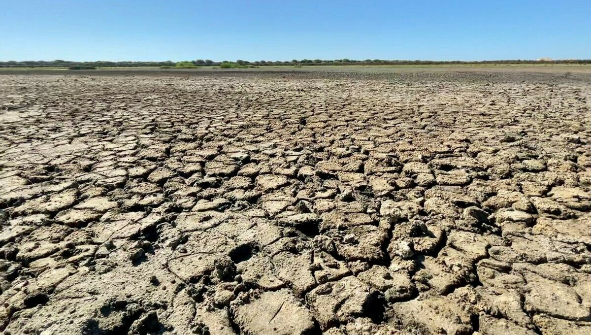 Andalousie : quand le verger de l’Europe a soif
Écoutez #JeReviensDuMondeDavant, un #reportage de <a href="/GivAnquetil/">Giv</a> 
➡️ l.franceinter.fr/215
