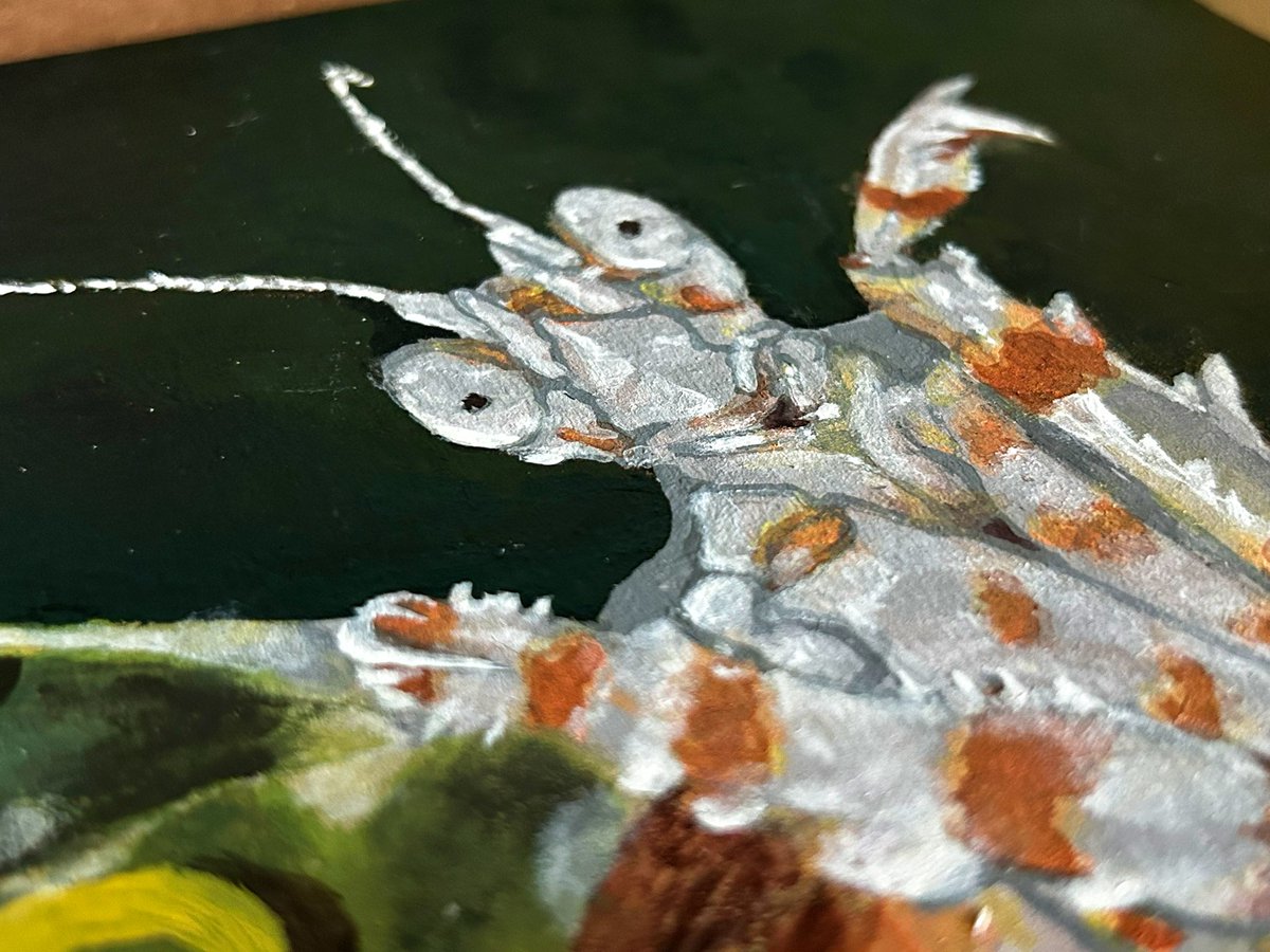 Gr0ss_Kitt's tweet photo. I love painting bugs

#art #artist #ArtistOnTwitter #paint https://t.co/1k0iqRkngC