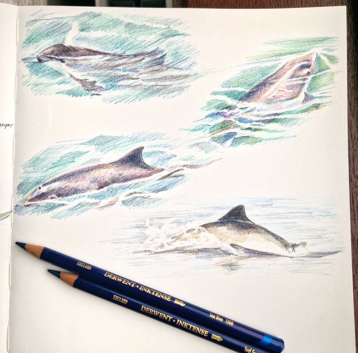 I fear the porpoises have once again infected my brain