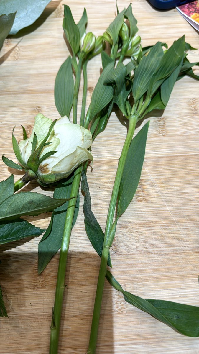 Mandy Evans tweet media