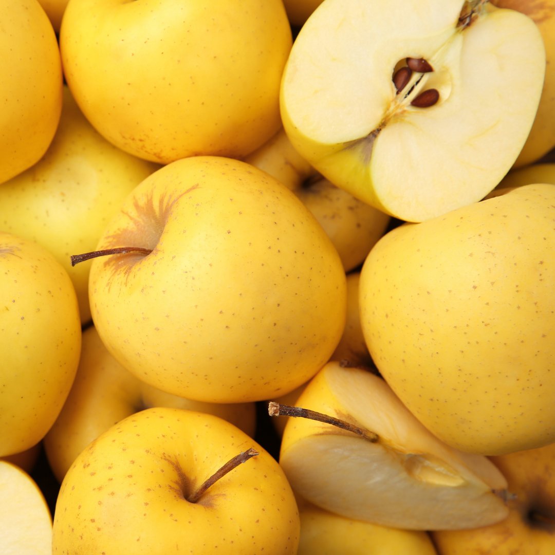 Opal Apple tweet media