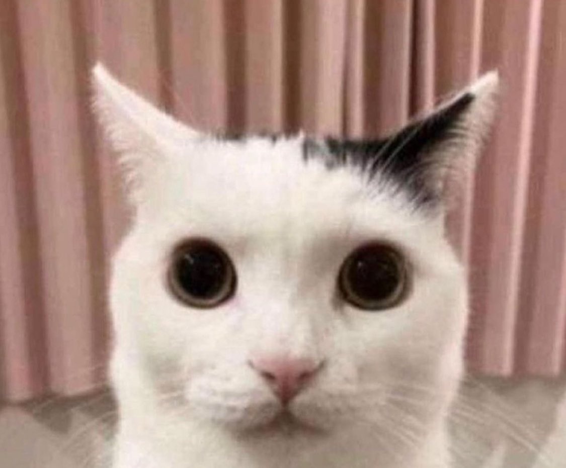 GhosteRope's tweet photo. @__lizyy__ Me gazing at my screen as twitter user double underscore lizyy double underscore proceeds to call me a bum for the #396th time within the span of two weeks https://t.co/SjzIQrPE0D