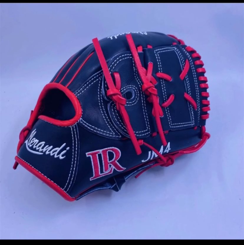 Llerandi Gloves tweet media