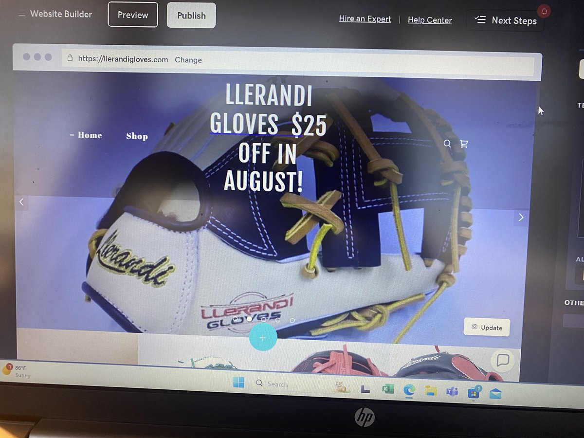 Llerandi Gloves tweet media