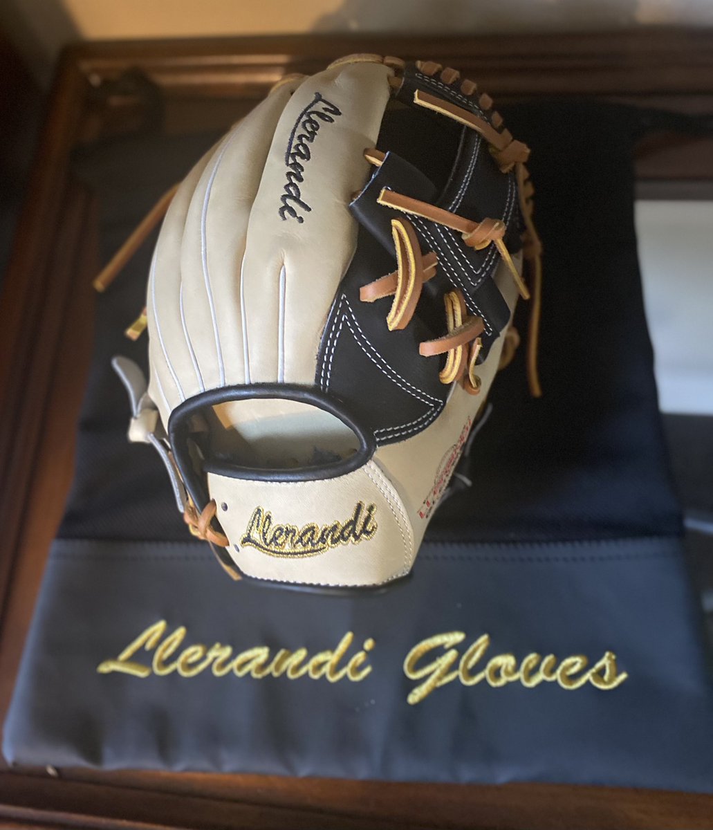 Llerandi Gloves tweet media