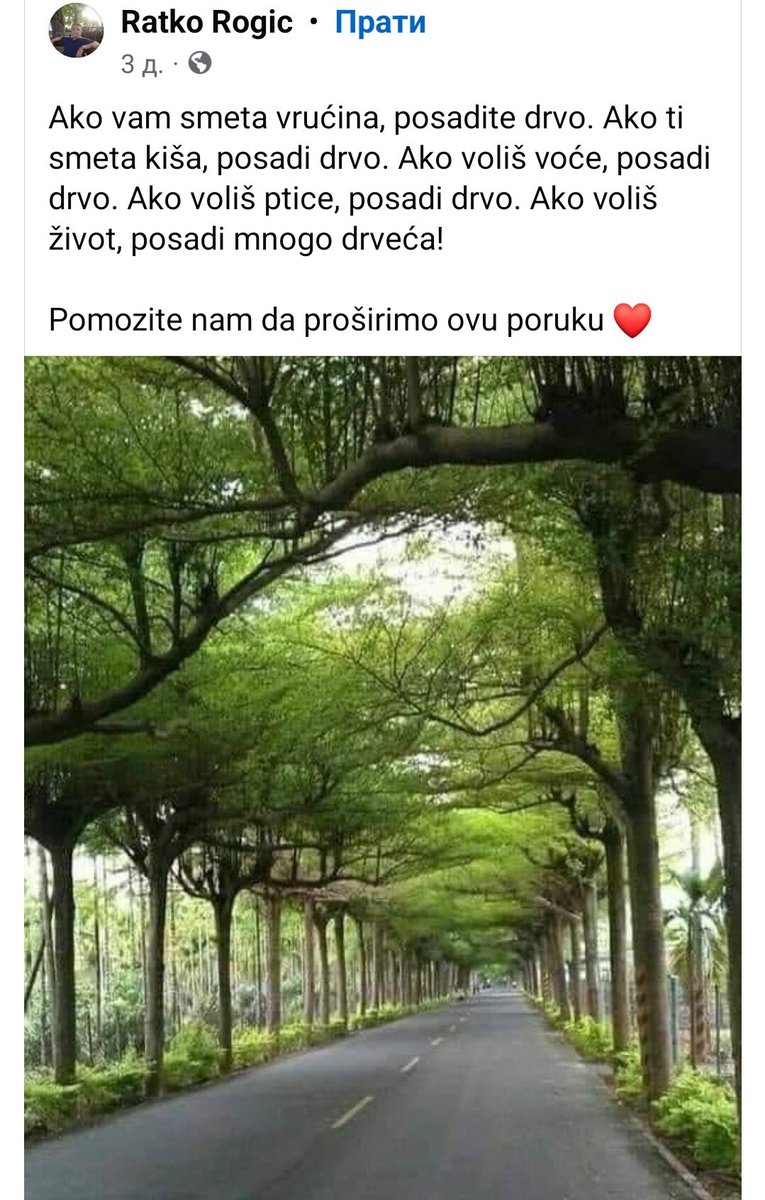 Posadite drvo 🌳🌲🌳🌲🌳🌲