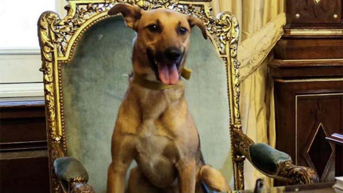 ¿Se acuerdan cuando Macri subió a Balcarce al sillón de Rivadabia y los kirchneristas salieron a repudiarlo? Son los mismos que usaron el sillón para tener sexo y hoy guardan silencio.