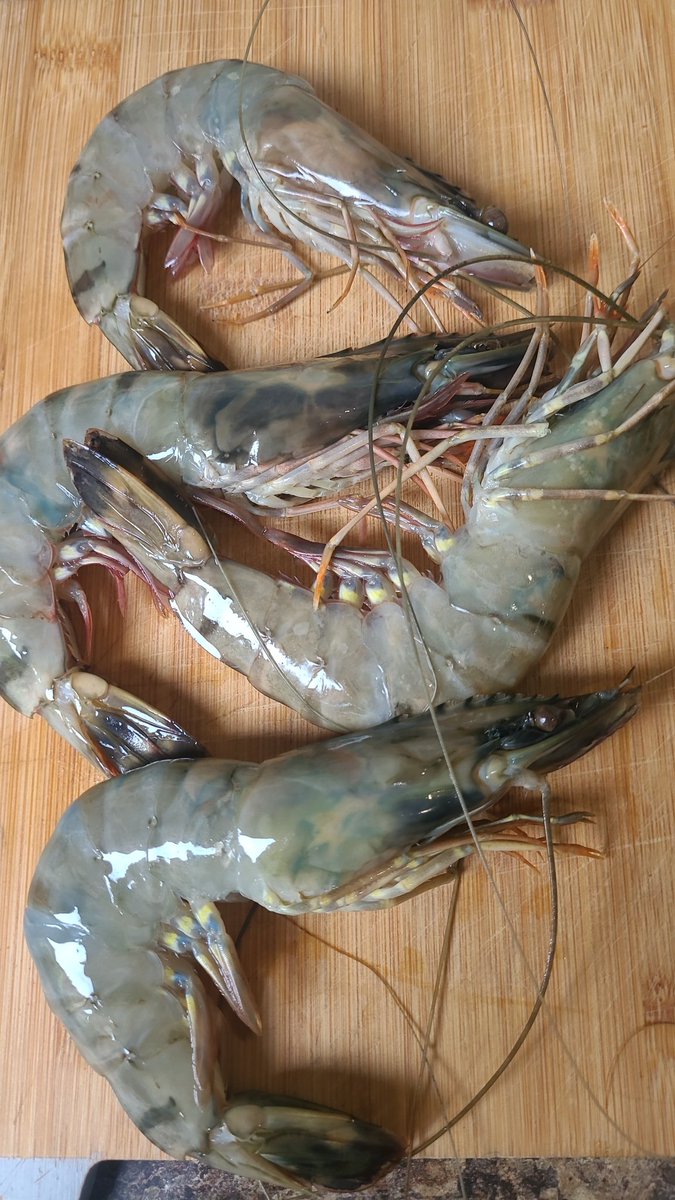 Smarter than <a href="/elonmusk/">Elon Musk</a>