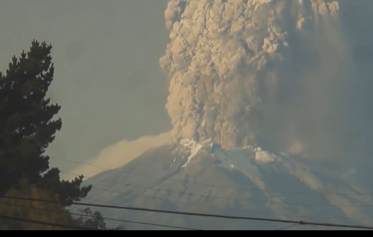 Maria Susana tweet media