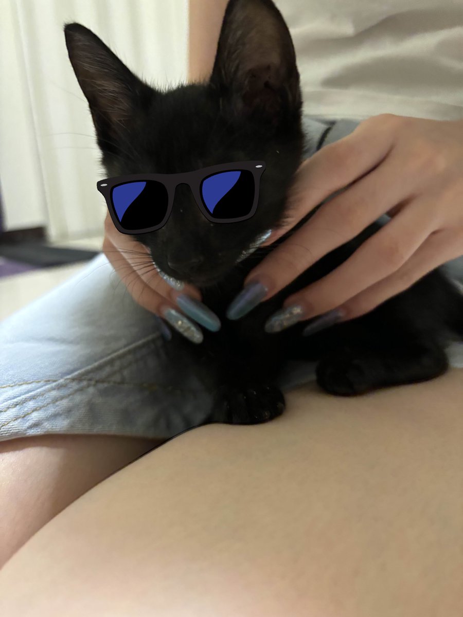 女巫得到黑貓
稱霸天下