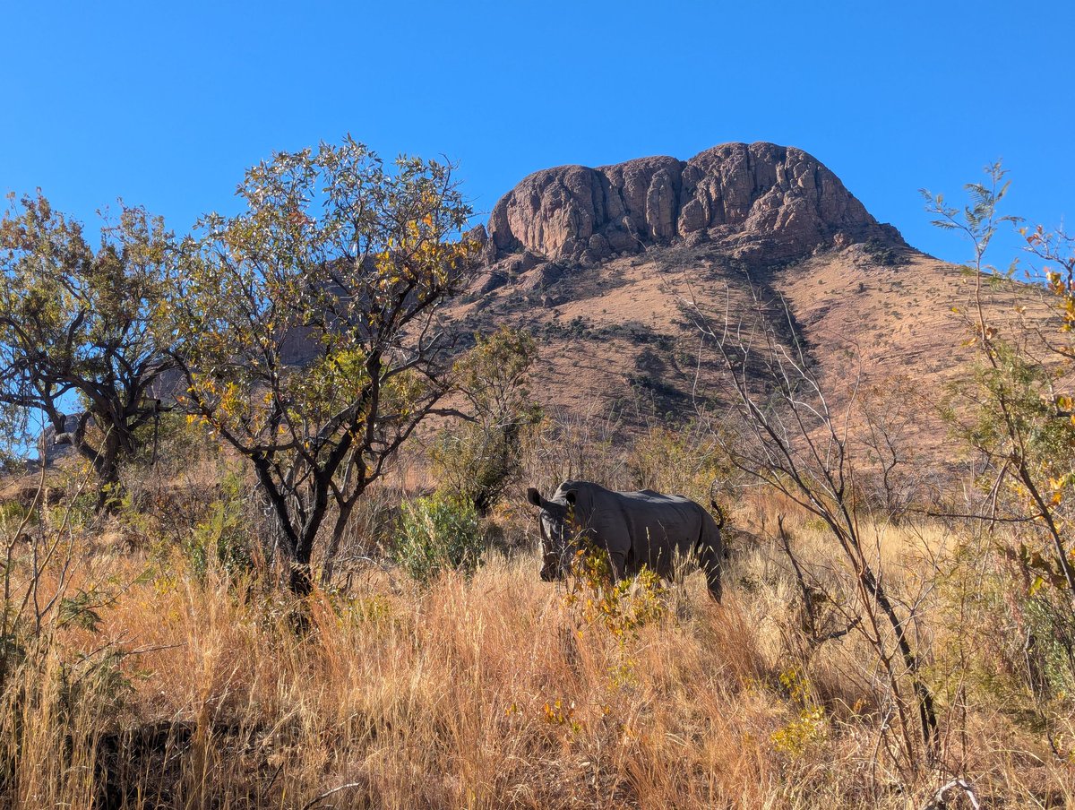 Marakele National Park! ❤️😍