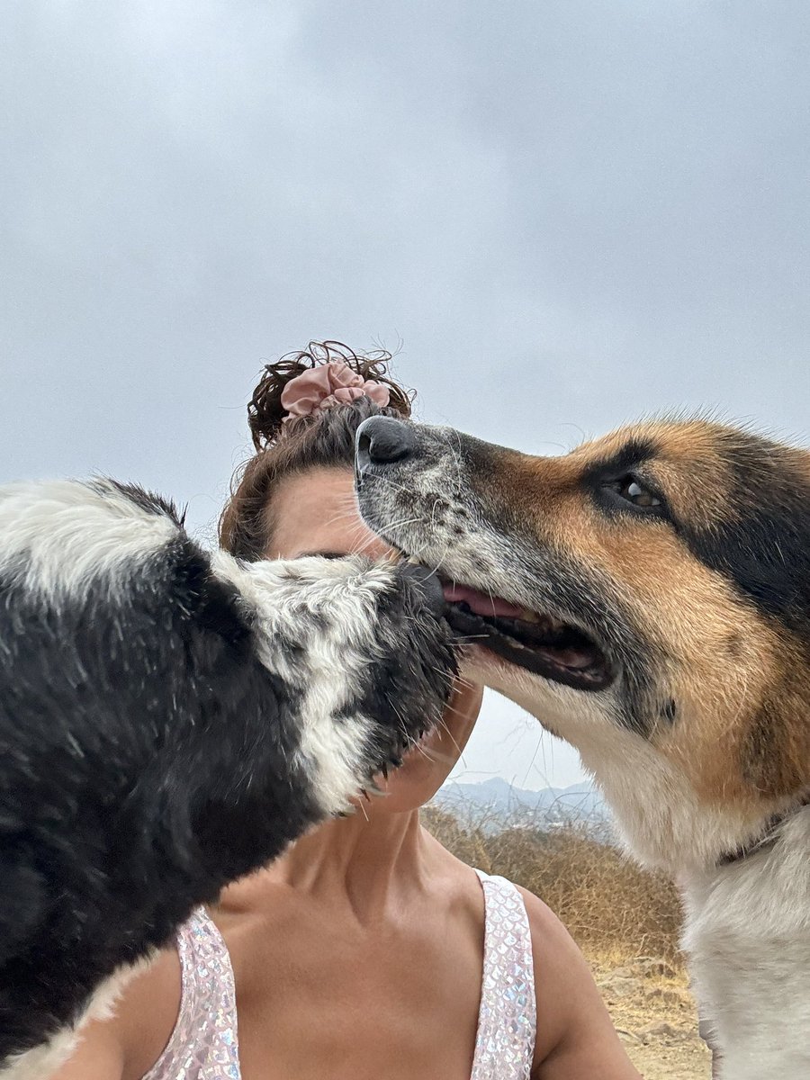 DrMarthaGulati's tweet image. Saturdays are for fun and catching up. And that means hiking at dawn with my #BinkelyLove &amp;amp; #Cocoloco up #runyoncanyon

Grateful to be home to get ready for #ESCCongress!
@DBelardoMD @netta_doc